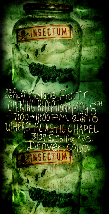 insectum-online-flyer5b.jpg